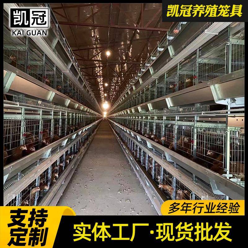 直立体框架式蛋鸡笼2垂5材质型大规模养殖场大层叠鸡笼设OVM备Q厂