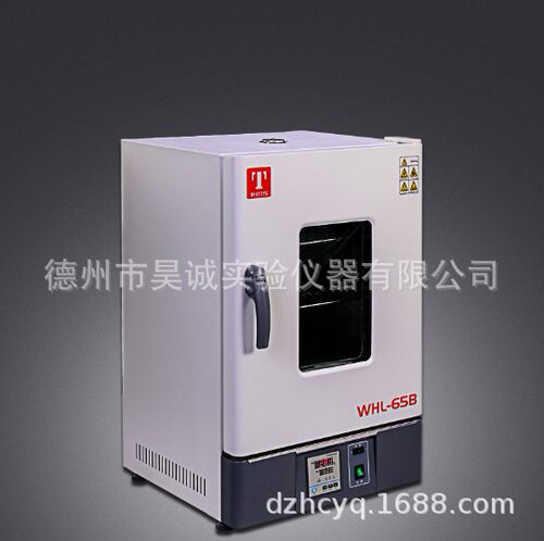 泰斯特 WHL-125B(D)数显立式电热恒温干燥箱实验室烘烤高温箱