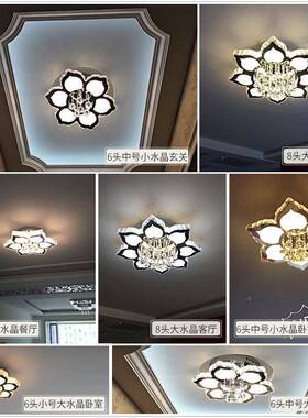 水IJV代晶吸灯顶灯遥控led约灯现简线切割花形客厅别墅荷花灯具灯