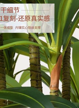 室内仿场绿植景大型景观HHI植物造装饰商酒店楼梯下假树仿真真植