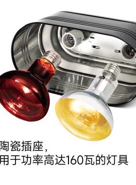 iangar背den爬宠一体灯罩变色龙鬃狮蜥双蜴水龟晒G灯夜灯UV100067