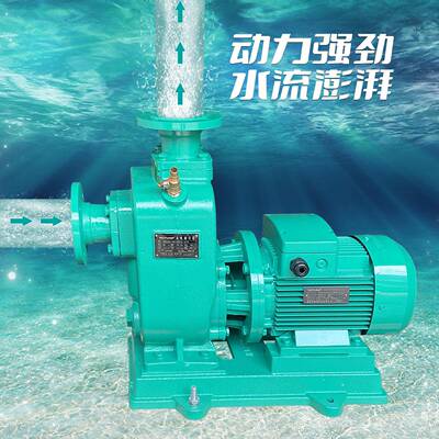 ZWL100-无30中威泵业WPUMP直联式LLKA自0吸堵塞排污泵