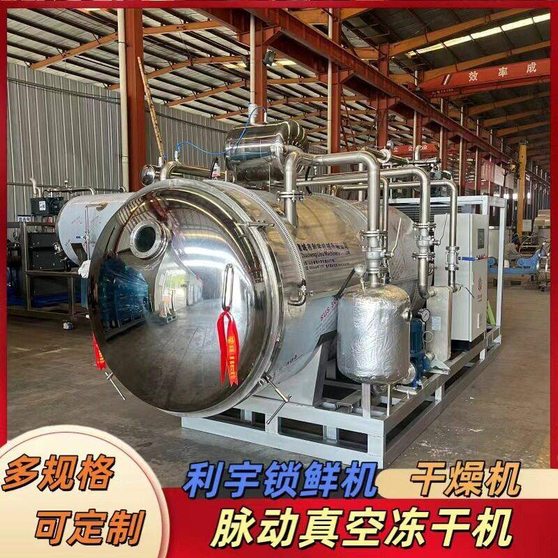 现货10平脉动真空冻干机燕窝甲鱼低温干燥机大型枸杞锁鲜机