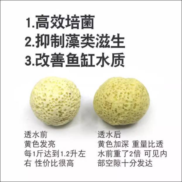 环黄色细过菌球黄呼吸鱼缸UGM龟缸水族箱材料石英硝化细菌净水滤