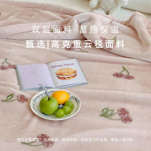 AOZX双层加厚拉舍尔云超柔毯柔软舒适保暖秋冬休类毯闲简约双面可