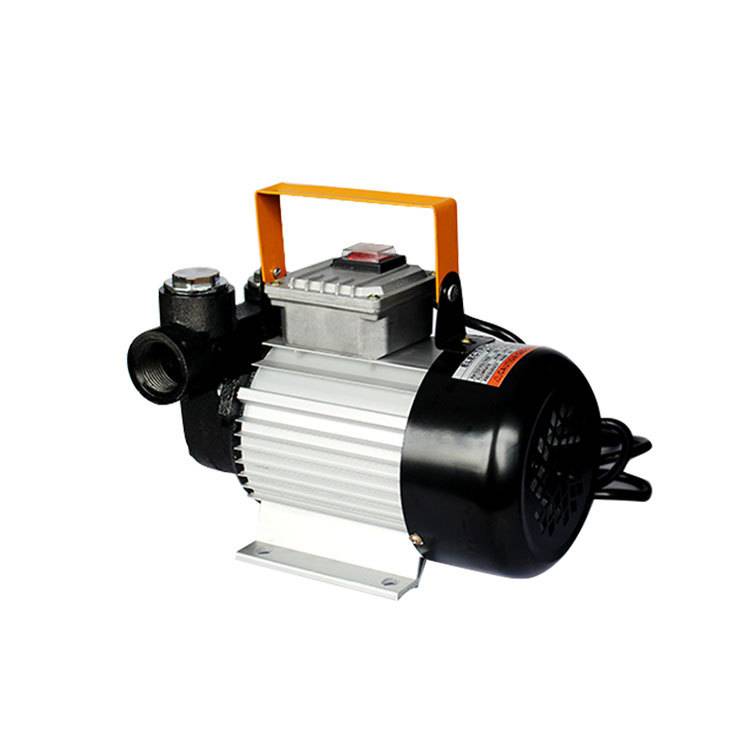 奥诚ACTP60 220v电压抽油泵电动加油泵 直流加油泵吸油泵柴油泵