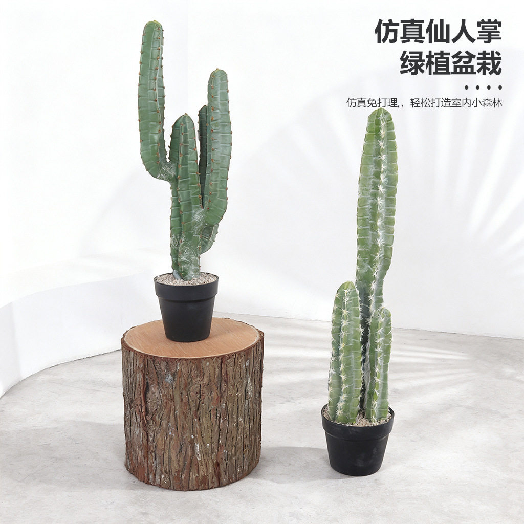 仿真仙人掌沙漠景观橱窗装饰造景仙人柱盆栽热带绿植室内装饰植物