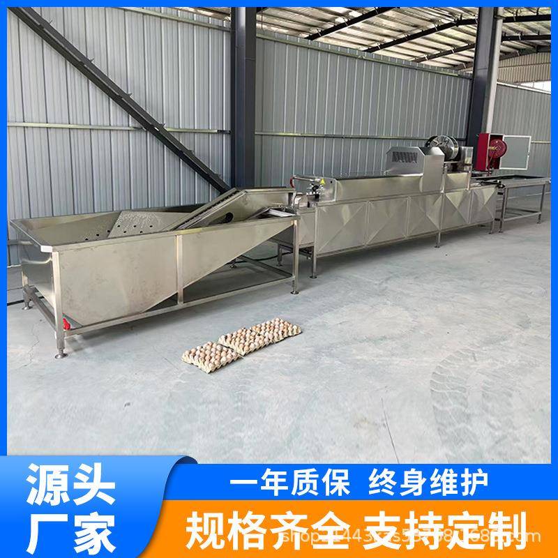 全清自动养殖备场鸭蛋洗线蛋鸡蛋洗风干消毒VOG喷油设鸡蛋清洗机