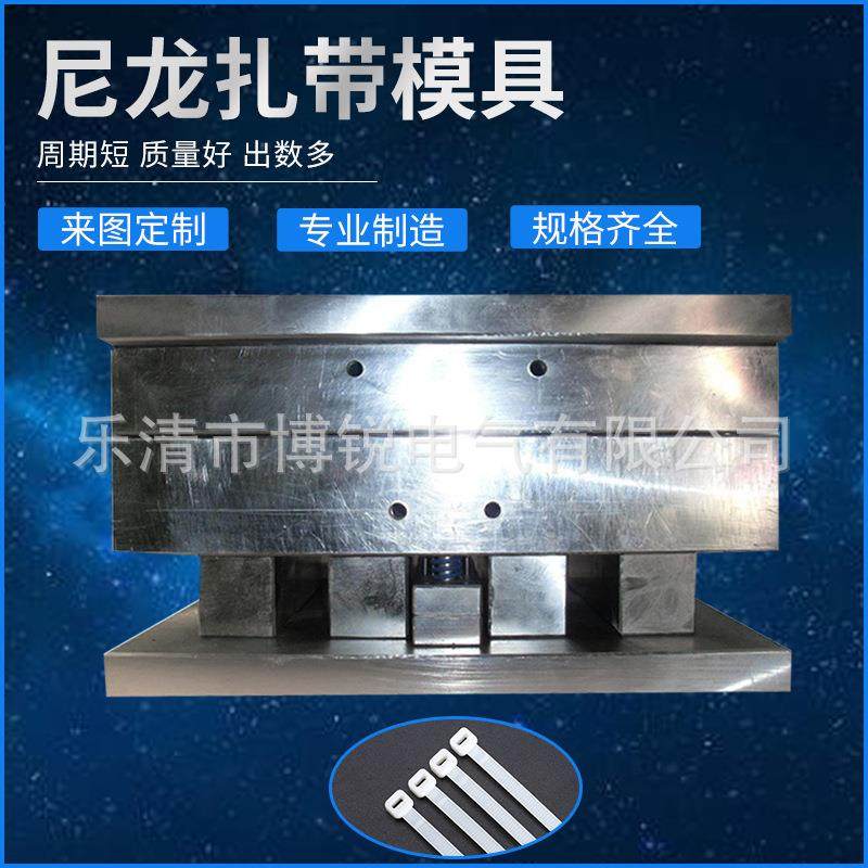 乐清博锐供应塑料模具专业生产各种尼龙扎带模具热流道扎带模具