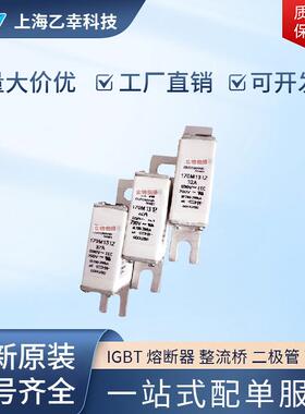 巴斯曼熔断器 170M1787 170M1788 170M1789 170M1790 170M1791