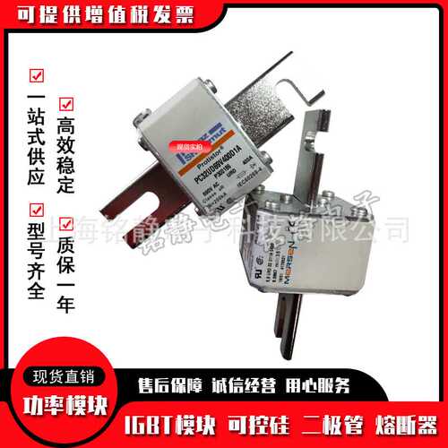 熔断器 保险丝DN000UB69V315 R330042 DN000UB69V315L A330188