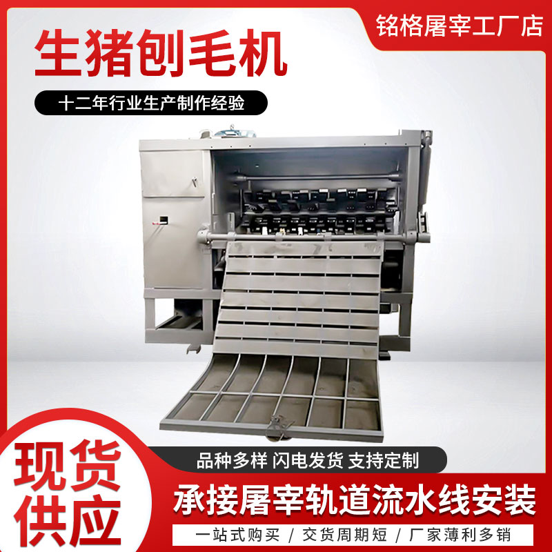 生猪刨毛机 整猪刨毛机生猪脱毛打毛设备活猪刮毛去毛