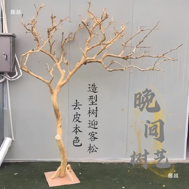 枝树干装饰去皮干树枝造景原木干枝枯树枝架子摆件艺术造型树杈