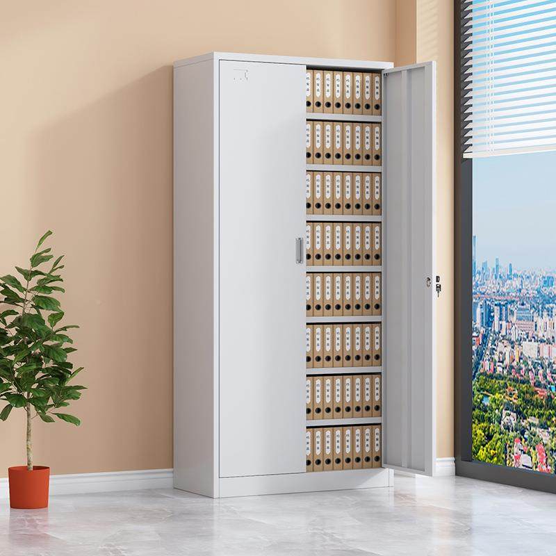 办公室对凭证柜文对开凭证柜铁皮书柜收纳柜财务档案料带开锁储件