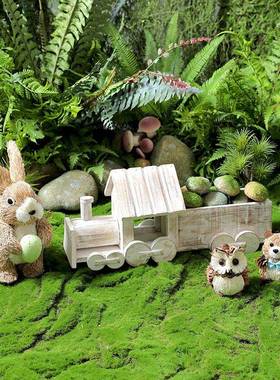 火布观车摆设摆件自然角幼儿园F76567HS植物户角外装饰微景别墅庭