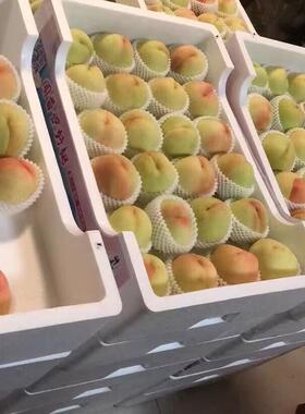 葡萄枇杷沫KWZ托盘泡草莓箱桃托泡沫箱盘泡沫水蜜桃芒果黄水果周