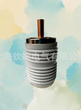 CZ77TJC/ZKTJ-7.2D/D250.400.630流高压真空接触器真空管泡瓶T交J