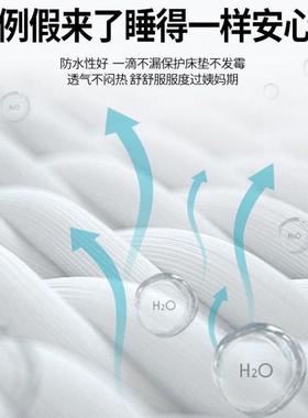 AekBC4kbJ类纯棉水隔尿梦床笠单件薄棕垫防床罩防滑夹棉席思垫床