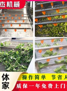 叶菜类蔬菜洗用菜机器商能多功果IAW蔬清洗机不锈钢气泡清洗机厂