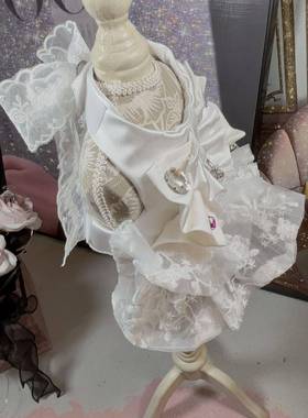 甜艾米丽宠狗狗胸背带牵物引带套ONU装外出网纱超蕾丝美胸仙背带