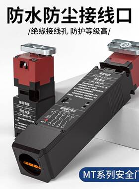 WTX磁锁电安全门关带插销钥匙开限位SES程开关工行业门锁D4SL平替