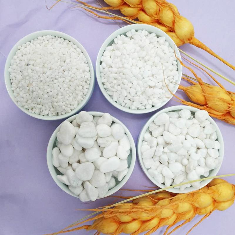 铺白色石子色水石磨石白子白色鹅卵石园林路用白子白FXL色砾石