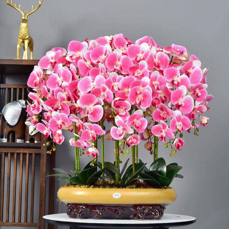 pu手PVL感蝴兰花艺摆件客厅茶几电蝶柜饰摆视设假花装花