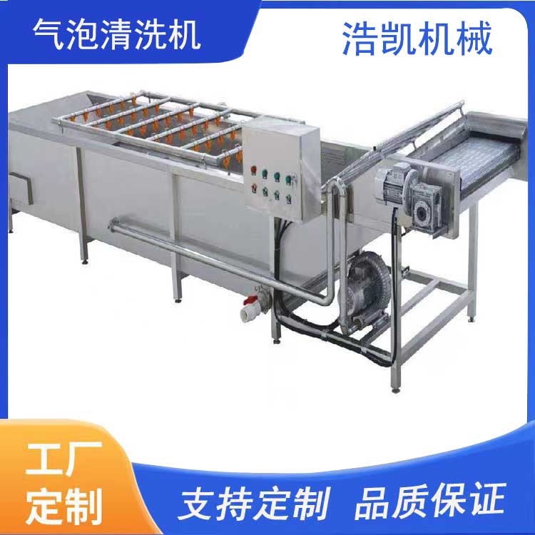 连续式果蔬气泡清洗机 葡萄水果蔬菜清洗设备 全自动洗菜机器