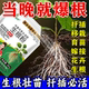 生根粉强力快速生根粉植物通用树木移栽扦插专用植物花卉有机肥料
