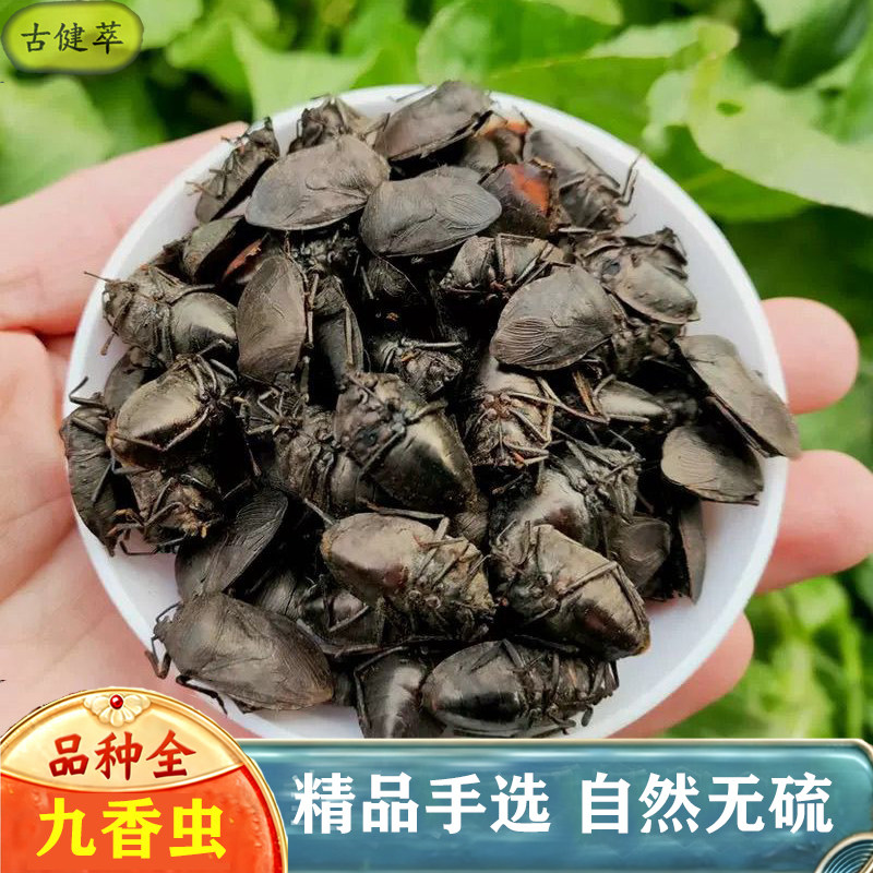九香虫250克正品云南打屁虫臭壳虫臭虫子臭板虫粉旗舰店