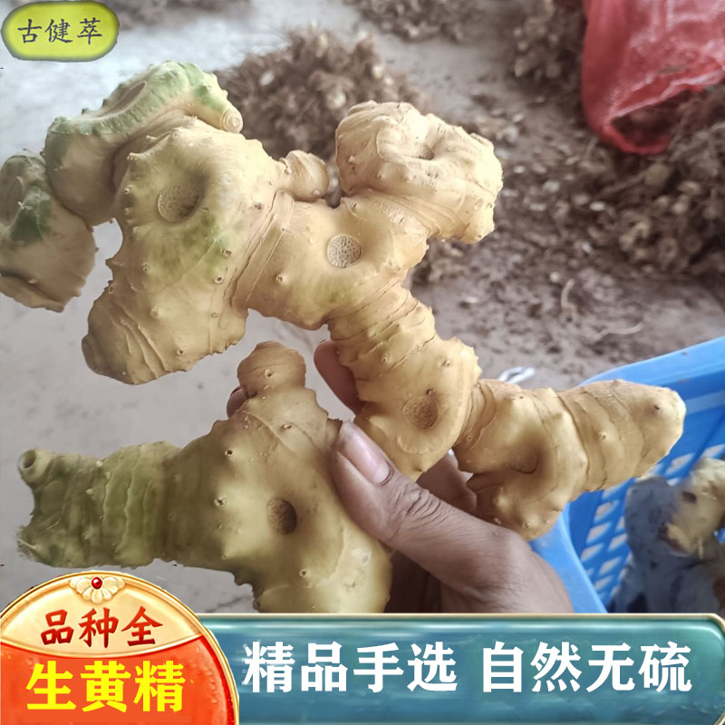 黄精中药材500克九华山黄精鸡