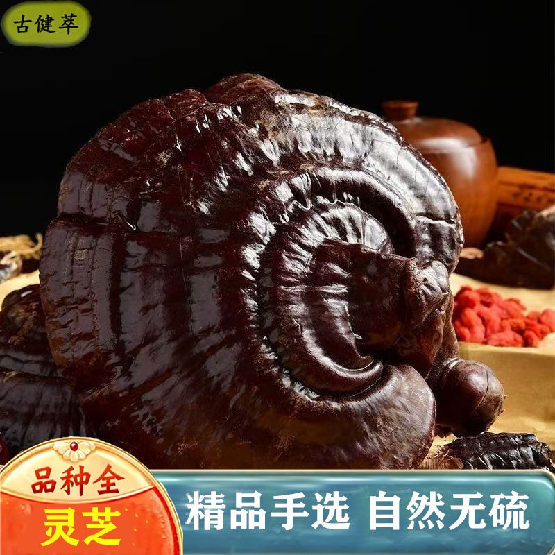 灵芝500g长白山灵芝片林芝赤灵芝整朵新鲜非野生泡酒水干货