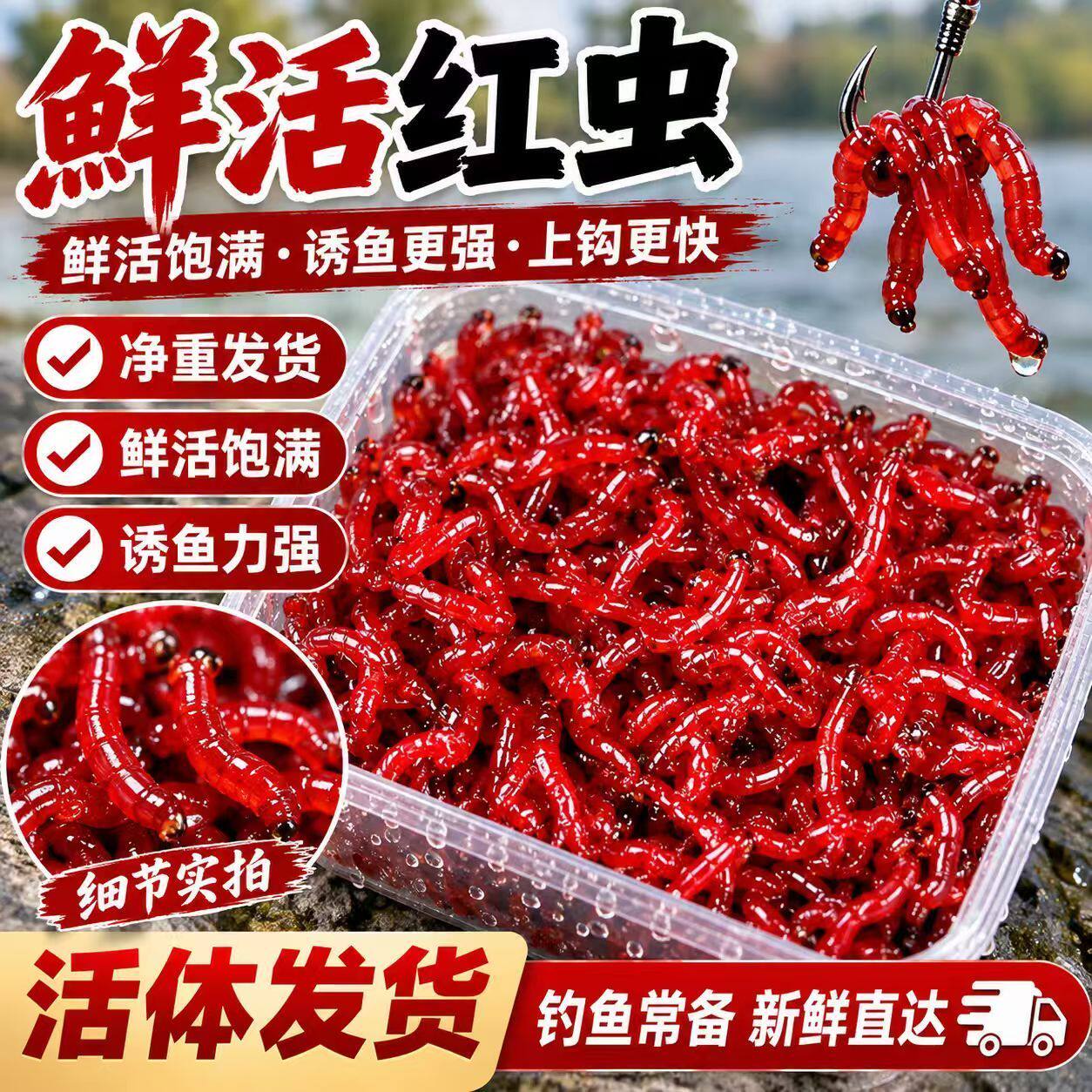 活体红虫新鲜活饵特大号鲜活挂钩公红虫垂钓批发野钓鱼饵料喂鱼饵