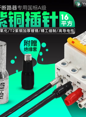 16平方 断路器铜插针 空开插针 C45接线端子 DZ47 铜接线柱FXB-TK