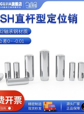 MSH负公差实心圆柱销MSSH直杆型定位销h7负公差销钉销子轴承钢