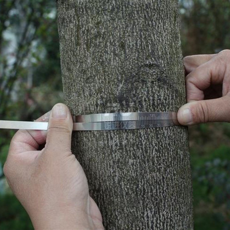 (不锈钢派尺游标直径尺 外径周径柔性尺π尺 树木管道机械胶辊