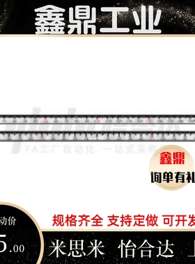 BLR01/02/06/32/12/72/16-100 L200 300 600刻度46标尺36BLP52/42