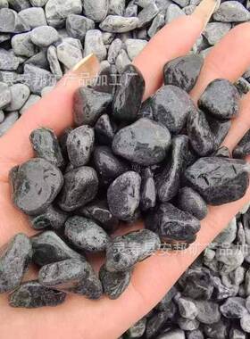 NuSun 贵宾/泰迪幼犬犬粮 2500g黑石子枯山水造景深灰色黑色砾石