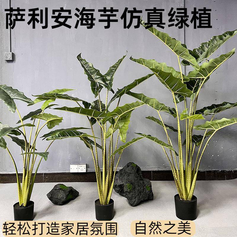 仿真绿植萨利安海芋盆栽客厅大型仿真假植物装饰海芋落地摆件造景