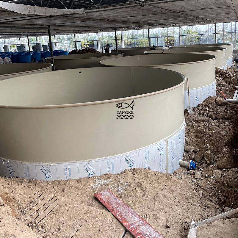 A级全新PP板原材料生产制作而成的PP锥底大鱼池陆基鱼池PP养殖池,畜牧/养殖物资,特种养殖设备,淘宝优惠券,粉丝福利购,淘宝优惠卷