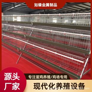阶梯式四层五门蛋鸡笼绿槽喂食大型禽类养殖场自动养殖蛋鸡笼