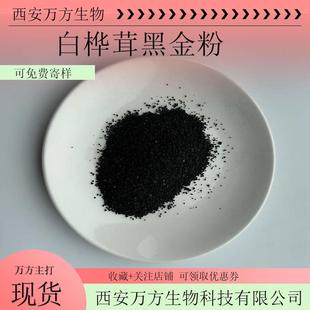 白桦茸黑金粉白桦茸提取物万方现货直销白桦茸粉量大价优包邮
