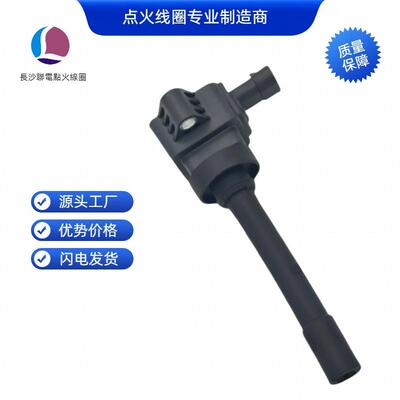 F01R00A0523705100XEG01BF01R00A136点火线圈适用于哈弗