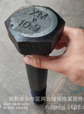螺.M3*850T型FXY栓高强度特大螺栓08.8级T型螺栓/加长T型螺丝