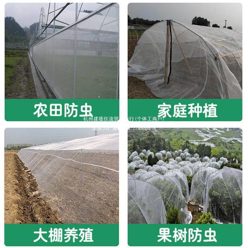 防虫网网纱殖养猪场防36630575子苍养蝇果蝇农用大棚果树网蚊加厚