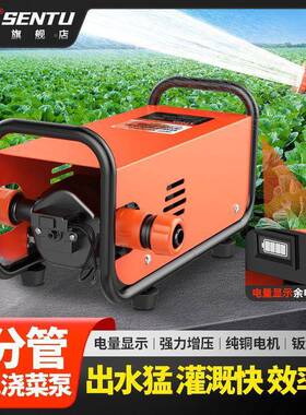 德国电抽水泵菜农用灌充式地浇水VUD机家用小溉型抽水机浇菜