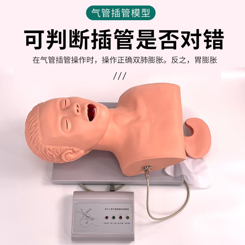 成人气管管训306管练模型牙齿报警人插体电子气插管训练模型J5s