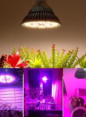 植物生长灯P3r8太阳光TLRa全全波段E27灯泡LED光谱补光灯