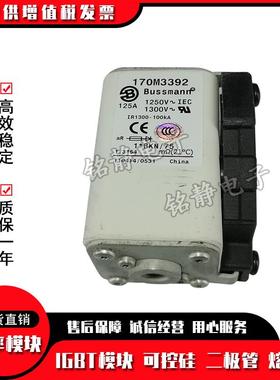 170M3408170M03409RNC17M3410170M34111702M341熔断器17M34103