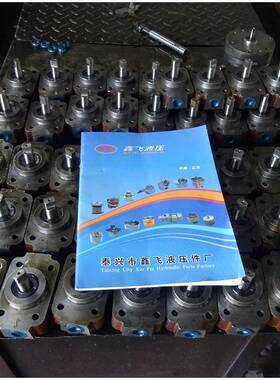 沃德传动电空冷岛QWB减速机ACC用专厂用油泵轴端泵48JS59JS44JS